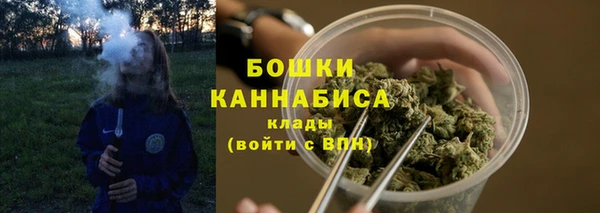 прущий лед Вязьма