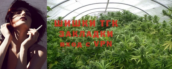крисы Вяземский