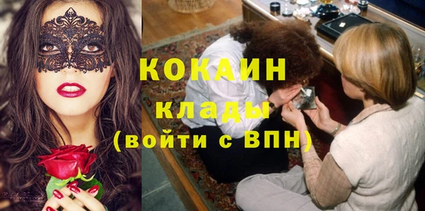 крисы Вяземский