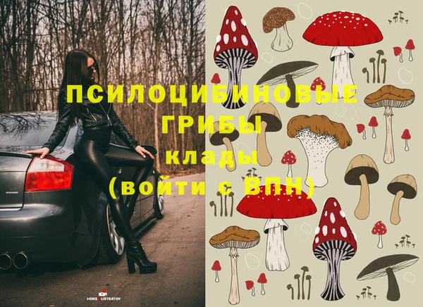 прущая мука Вязники