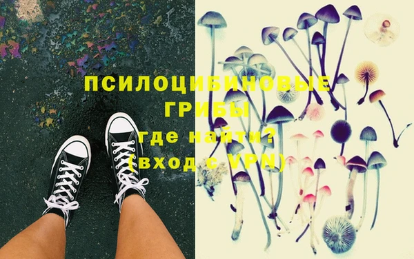 прущий лед Вязьма