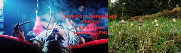 прущая мука Вязники