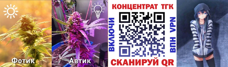 Купить  Кизилюрт  ТГК гашишное масло 