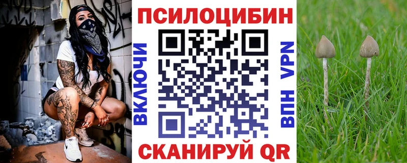 Галлюциногенные грибы мухоморы  Купить  Кизилюрт 