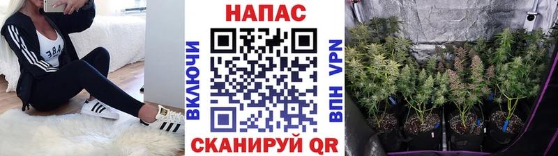 Купить где  Кизилюрт  Шишки марихуана VHQ 